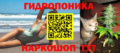 дмт Можайск